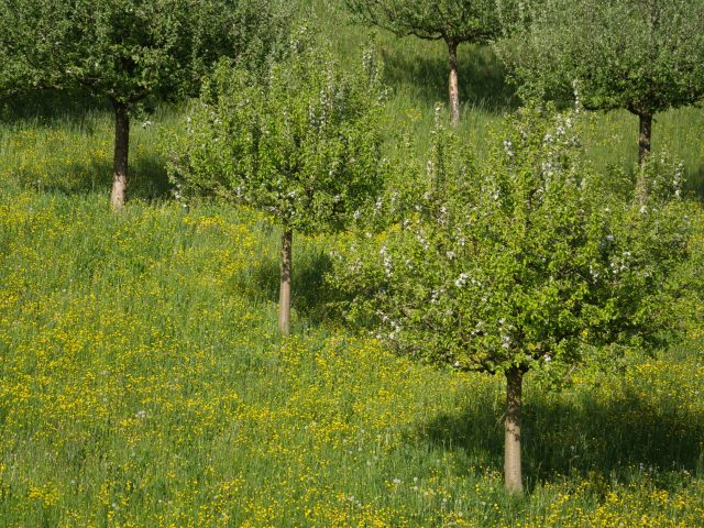 Quelles sont les meilleures stratégies pour éviter les allergies saisonnières ?