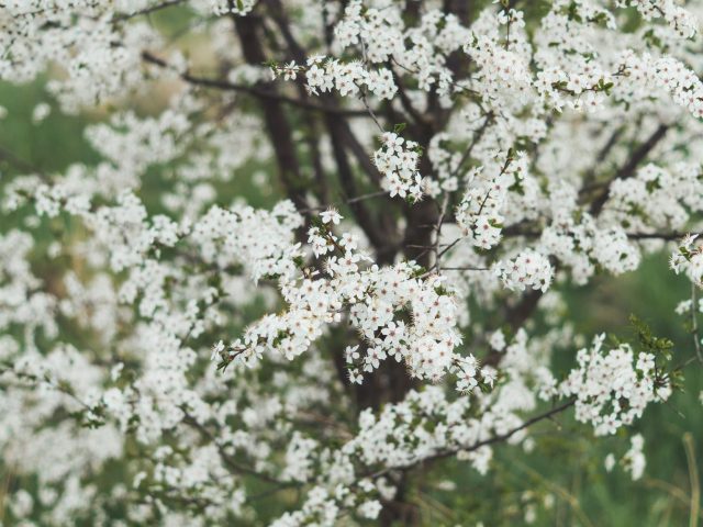 Protégez-vous des allergies pendant les changements de saison