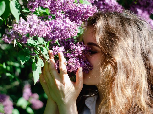 Protégez-vous des allergies saisonnières