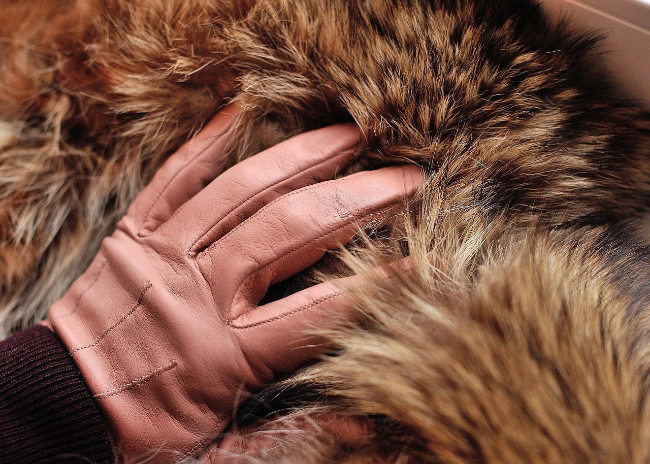 Gros plan sur une paire de gants en cuir marron, grain fin, posés pliés sur un fond neutre